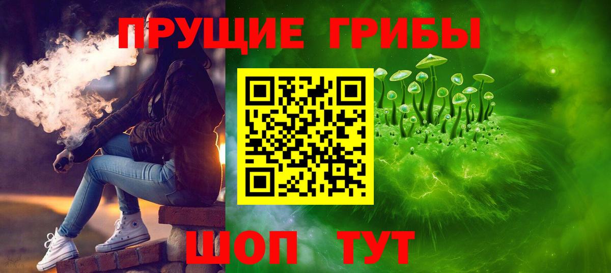 Хабаровск  Псилоцибиновые грибы Cubensis  Вход с VPN  Псилоцибиновые грибы GOLDEN TEACHER 